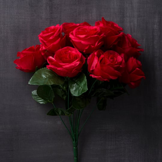 Red Rose Bush by Ashland®